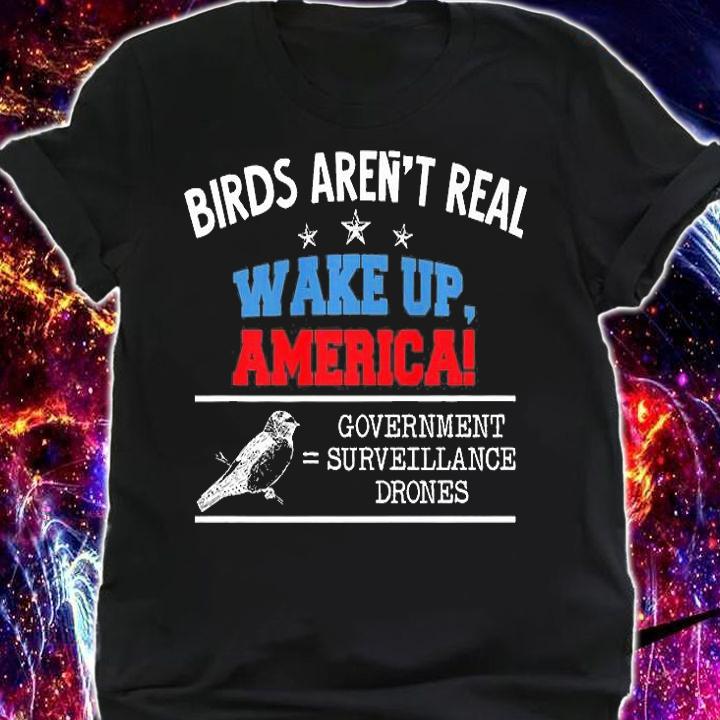 Birds Are Not Real Conspiracy Theory Drones Spies Funny Bird T-Shirt t-shirt