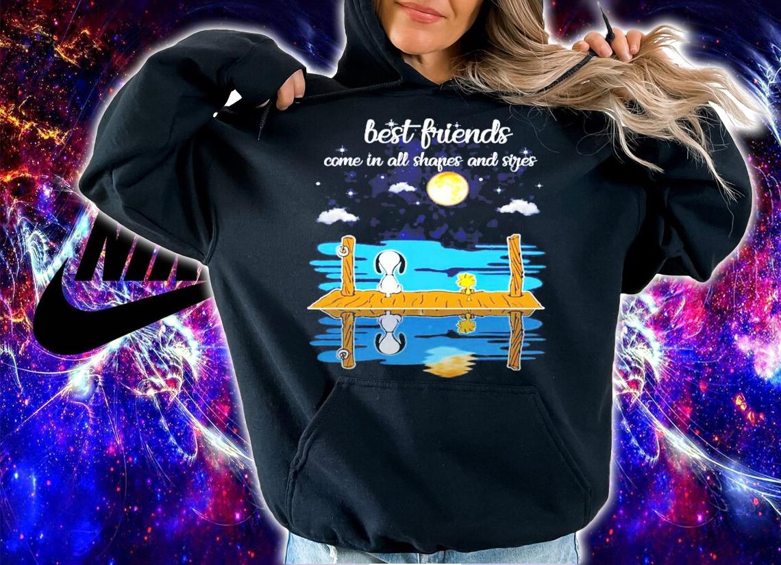 Snoopy and Woodstock best friends come in all shapes and sides shirt hoodie